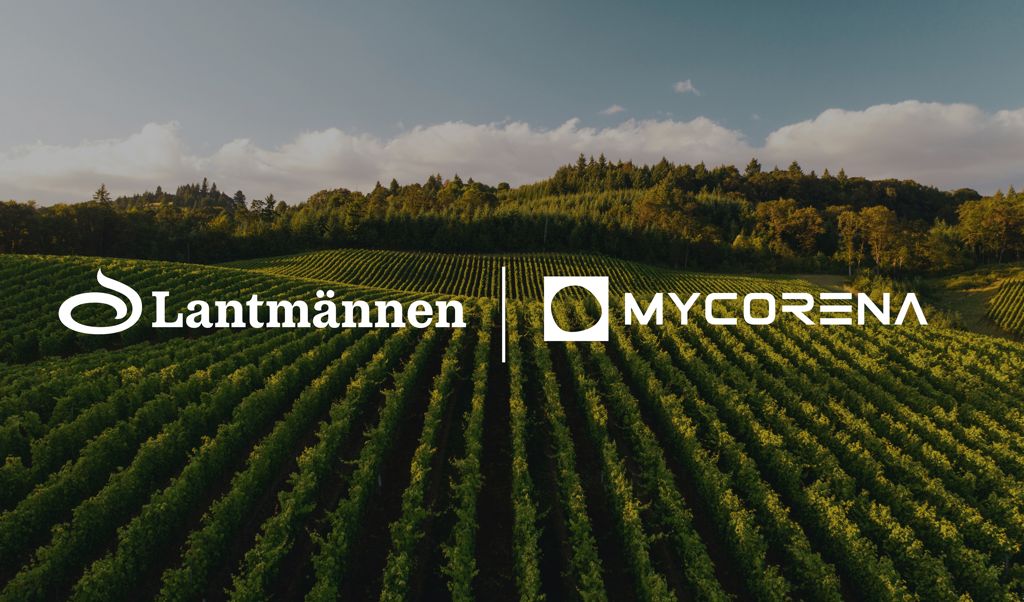 Lantm nnen Cerealia Inleder Samarbete Med Mycorena lantm-nnen-cerealia-inleder-samarbete-med-mycorena