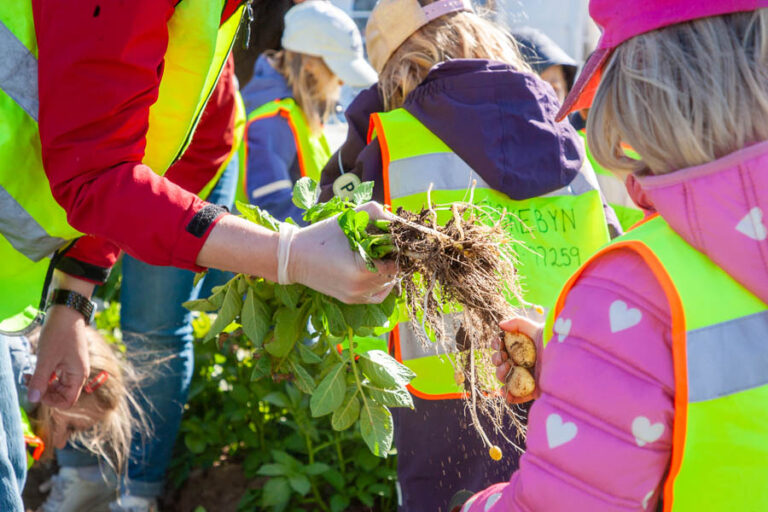 SAP-280426-0298-PRESS