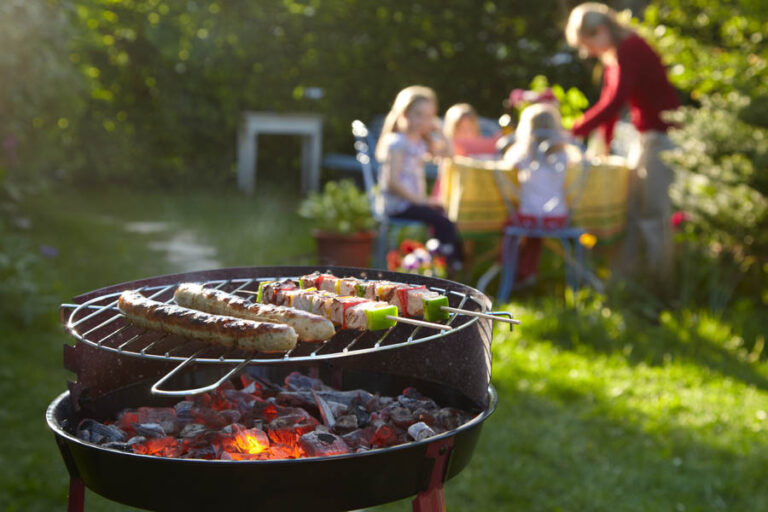Barbecue on a summer evening